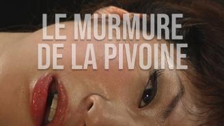 Le murmure de la pivoine